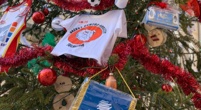 A Sulmona in mostra l'albero dello sport per la ripartenza