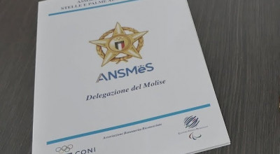 Cip ed Ansmes insieme per ‘riconoscimenti e progetti’