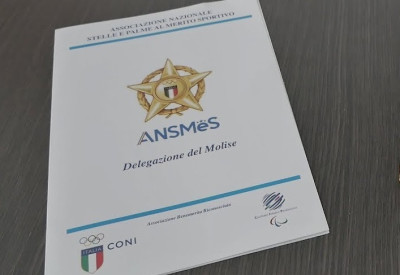 Cip ed Ansmes insieme per ‘riconoscimenti e progetti’